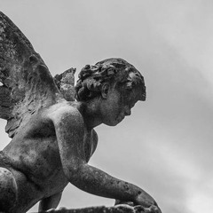 I WISH DEATH UPON MYSELF, DAILY