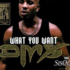 DMX - What They Really  Want Ft. Sisqo (Remix January 2017)