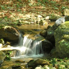 Water flowing