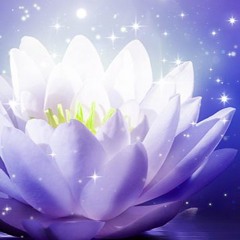 Eternal Peace and Optimism of Divine Love