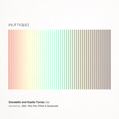 Kastis Torrau & Donatello - Ida (Rick Pier O'Neil & Desaturate Remix)