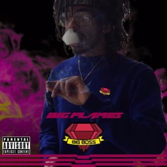 CHICKENZ (prod. Kyl3ent)