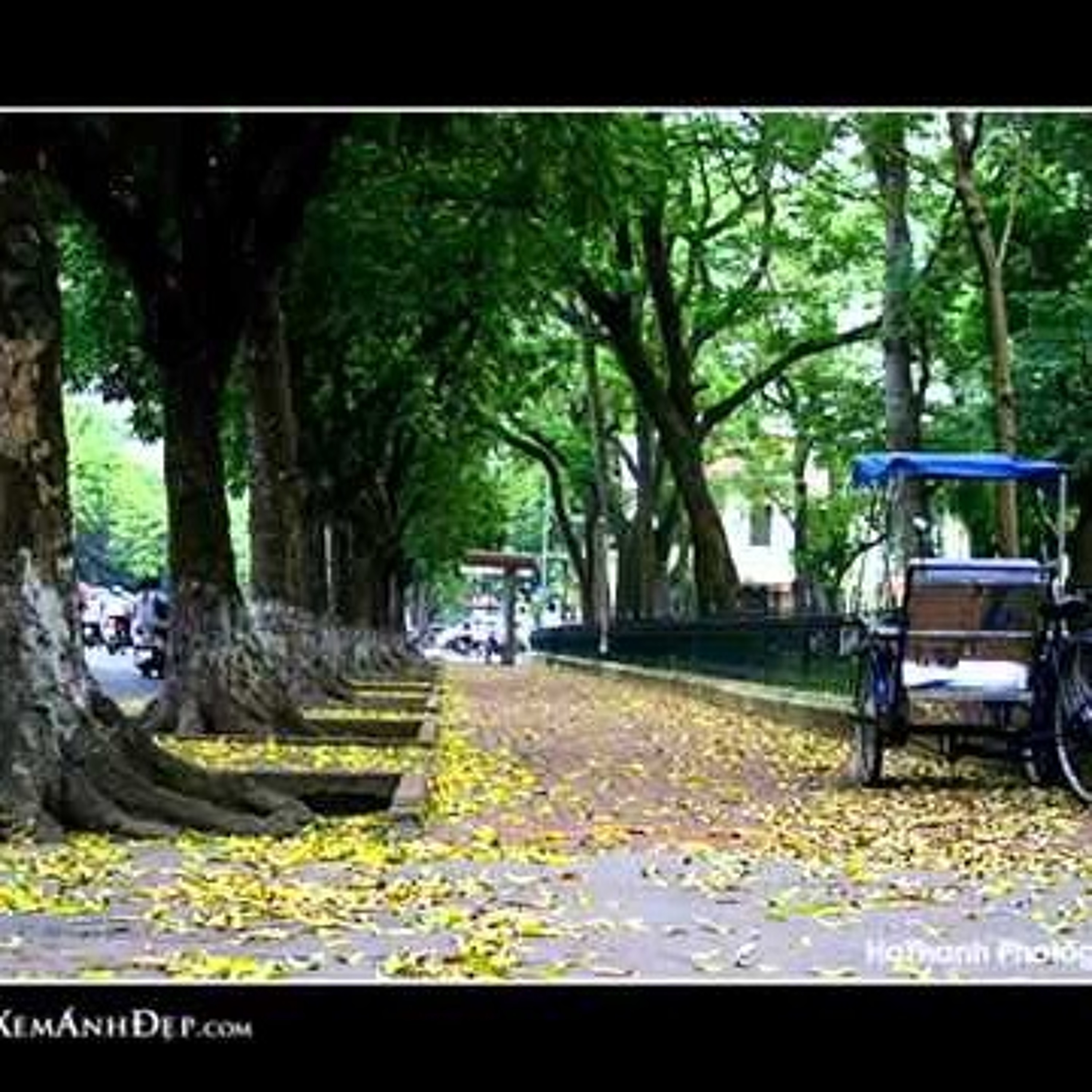 Nhạc Việt