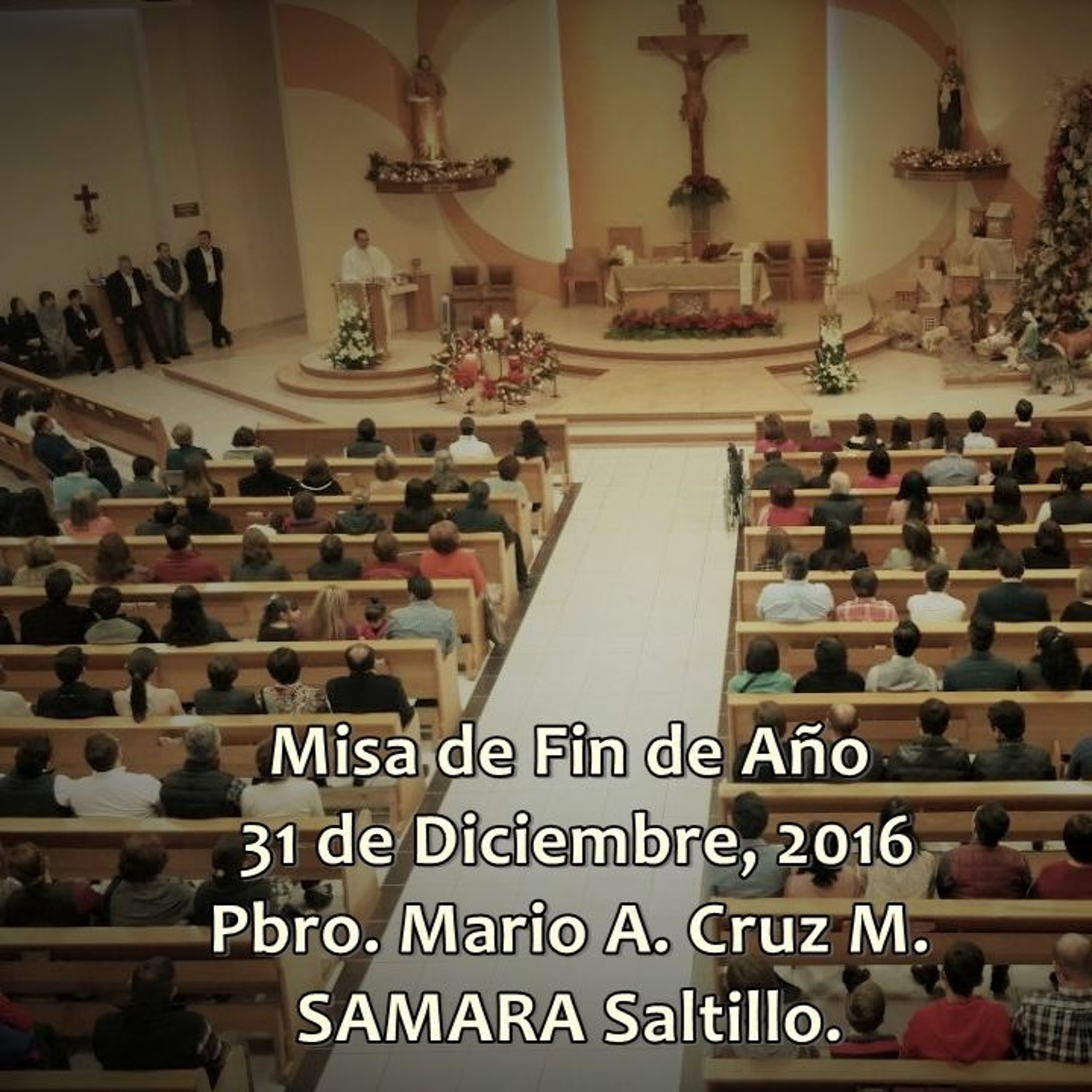 SAMARA_Saltillo #2019
