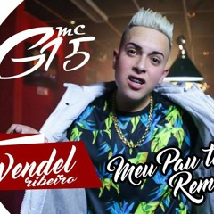 MC G15 - Meu Pau Te Amaa - [ Wendel Ribeiro - Remix - 2017 ]