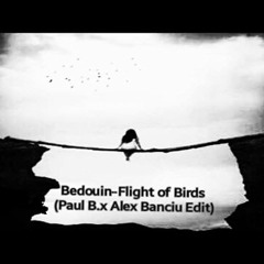 Bedouin - Flight Of Birds (Paul B. X Alex Banciu Edit)