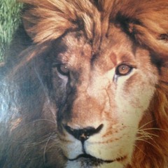 LIONFACE INTERNATIONAL(JR DEMUS DUBPLATE(2017)