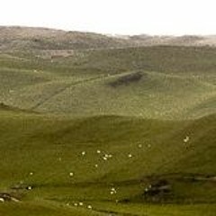 Tom Rosenthal - Dabilo