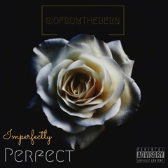 Imperfectly Perfect [Prod. by Richie Beatz]