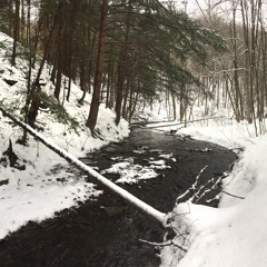Gurgling Mountain Brook