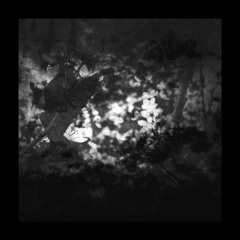 Woodlawn Manor (Prod. by mt. marcy)