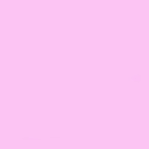 ZOEY 808