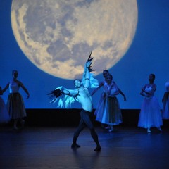 The Brolga and the Star Ballet by Cathy Applegate  1. The Billabong at Night