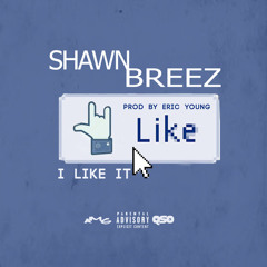 I Like It Prod. Eric Young