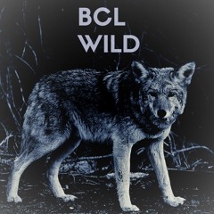 BCL. - Wild(Original Mix)