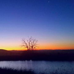 Something on Your Mind