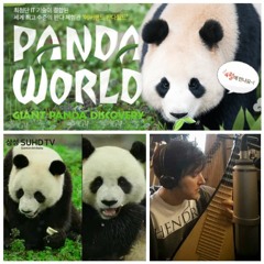 Everland Panda World: Panda Life Theme I