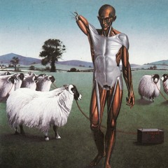 Electric Sheep