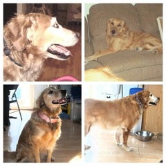 Time in a Bottle (cover)(Dedicated to Honey and Pookie.)