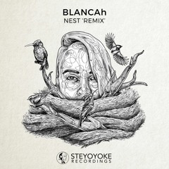 BLANCAh - Learning To Fly (Kris Davis Groove Remix)