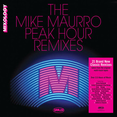 I Want You For Myself (Mike Maurro Selfish Extended Remix)- George Duke