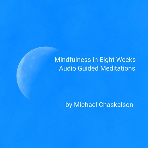 Stream Michael Chaskalson Listen to Mindfulness Meditations Guided
