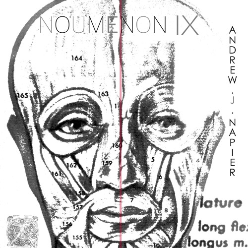 Noumenon IX