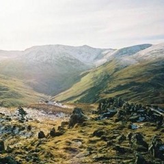 Life In The Wilderness