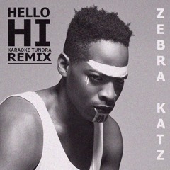 Zebra Katz "Hello Hi" (Karaoke Tundra Remix)