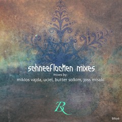 Miklos Vajda - Schneeflocken Mixes_BR06(7track single teaser)_Out now!
