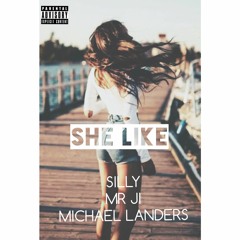 SHE LIKE ~SILLY FT JI X MICHAELLANDERS