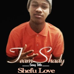 Shefu Love - Team Shady