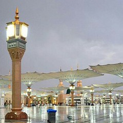 أواخر الجزء الخامس