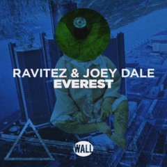 Joey Dale & Ravitez vs. Clean Bandit & Sean Paul - Everest vs. Rockabye (Hardwell Mashup)