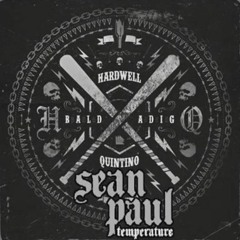 Hardwell & Quintino vs. Sean Paul - Baldadig vs. Temperature(Hardwell Dancehall Retouch)