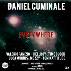 Daniel Cuminale - Torus & Vektor ( Valerio Panizio Remix )