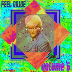 Feel Guide 6 Preview (free compilation, link in description)