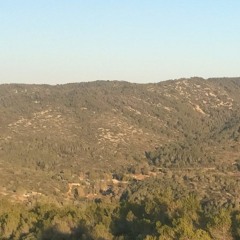 G.NEGRO & DEIF & JAMELGO - SÍNDROME KORSAKOFF