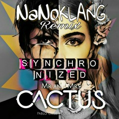 Mr. and Mrs. Cactus - Synchronized ( NaNoKLANG Remix )