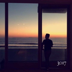 3017 mix