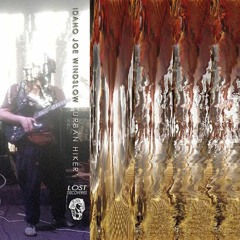 ORDER  NEW IDAHO JOE ALBUM: URBAN HIKER! at psychic sounds website