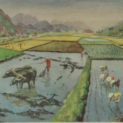 Tomara Que Tenha Tomate