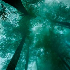 Красно-ясно /2003 ( реліз 2006)