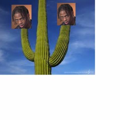 Stroke My Cactus 1 Hour