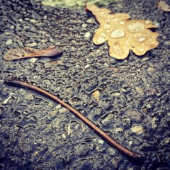 تركني نسالي اسمي