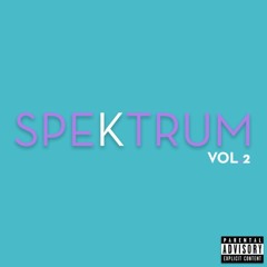 SPEKTRUM: Vol.2
