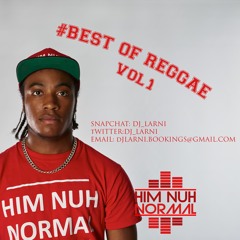 Best Of Reggae Vo1 Mixed By DJ Larni