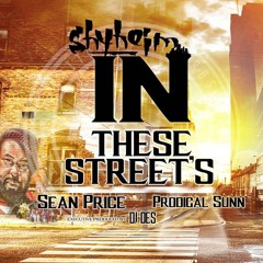 Shyheim Ft. Sean Price , Prodigal Sunn - In These Streets Exec. Prod by Dj Des