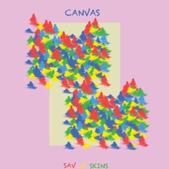 Canvas (SAV / Skins) Prod. by Prace  ( authentic language )