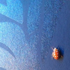 a mechanical beetle / light-tech